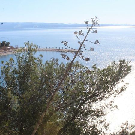 Paradise Apartment With Big Sunny Terrace In The Old Town, Few Meters From The Sea & Riva Promenade Сплит Экстерьер фото